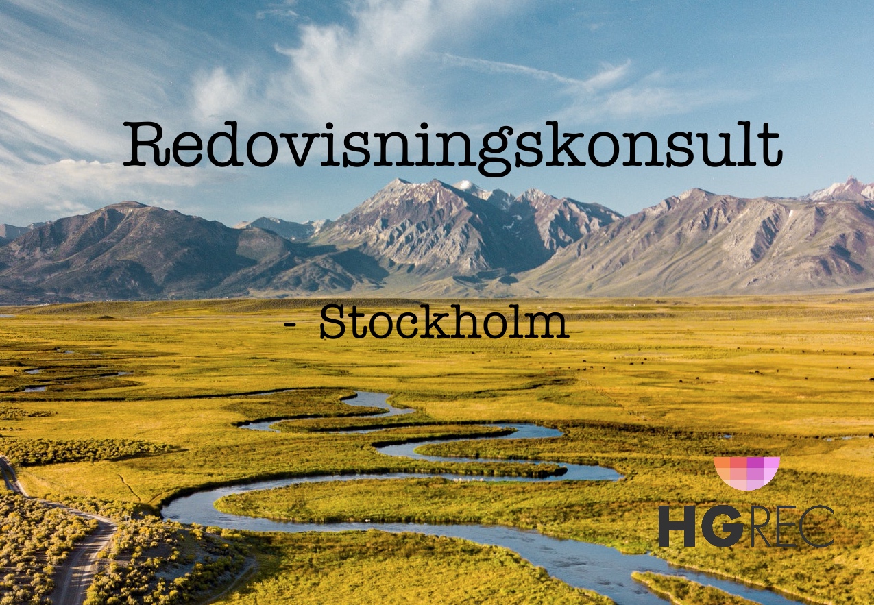 Read more about the article Redovisningskonsult