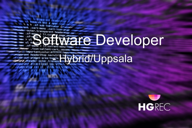 Read more about the article Software Developer 