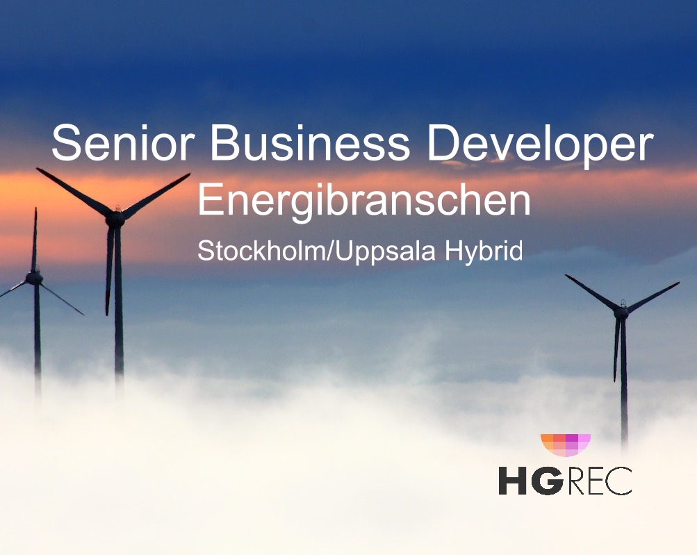 Read more about the article Senior Business Developer i den snabbt växande energi-/flexibilitetsmarknaden i Norden?